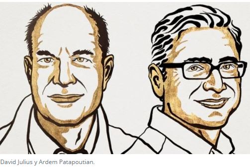 David Julius y Ardem Patapoutian ganan el Premio Nobel de Medicina 2021. imagen