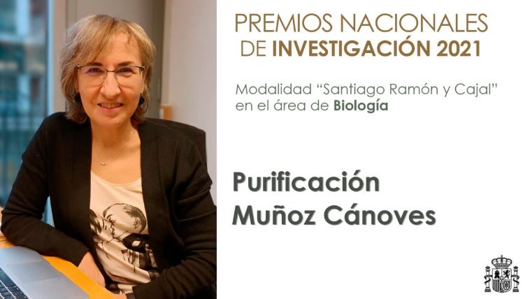 Premio Nacional Santiago Ramón y Cajal en el área de Biología a la Dra. Pura Muñoz- Cánoves. imagen