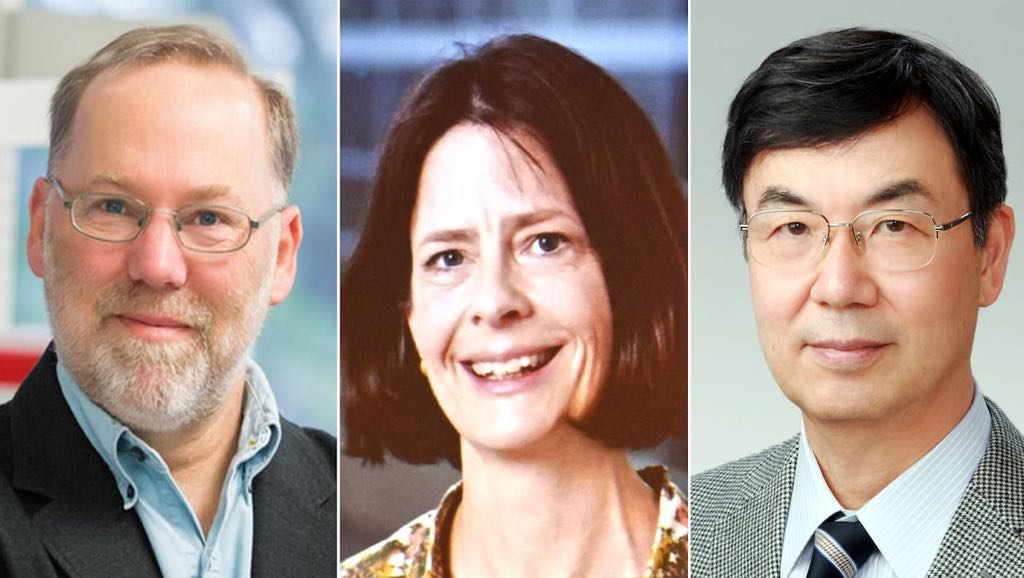 Premio Nobel de Medicina 2025 para Mary Brunkow, Fred Ramsdell y Shimon Sakaguchi por identificar a los “guardias de seguridad del sistema inmunológico” imagen